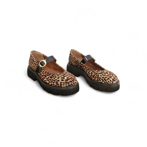 Raffy - bebè cavallino lince